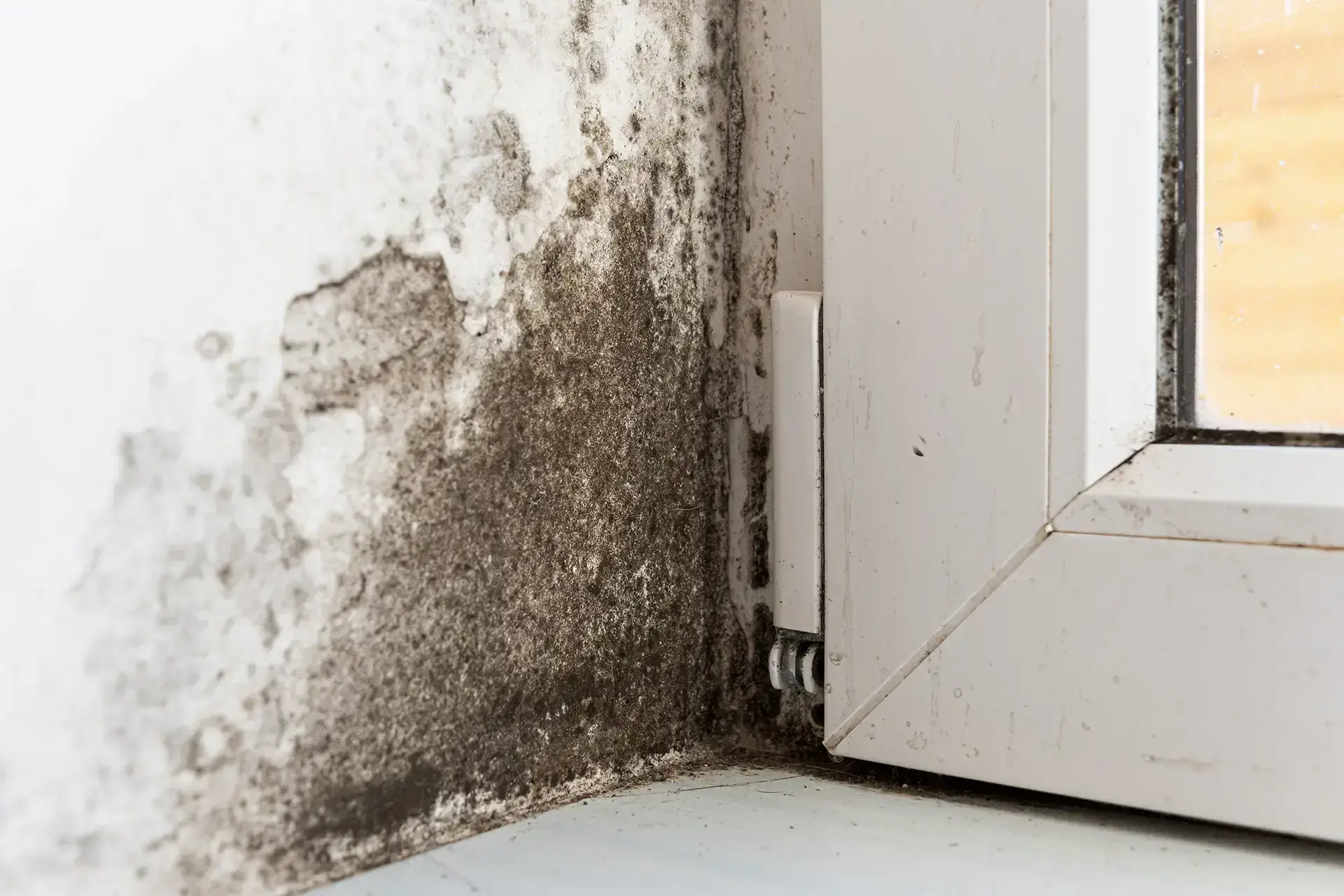 Restoring Your Peace Of Mind After Unexpected Flooding — Bellevue, WA
