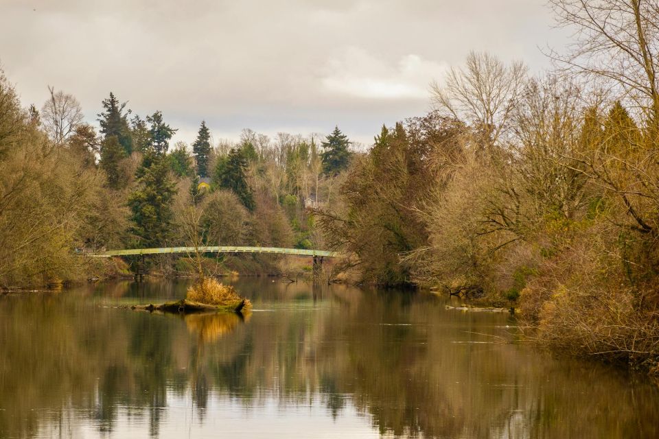 Water Damage services in Tukwila, WA