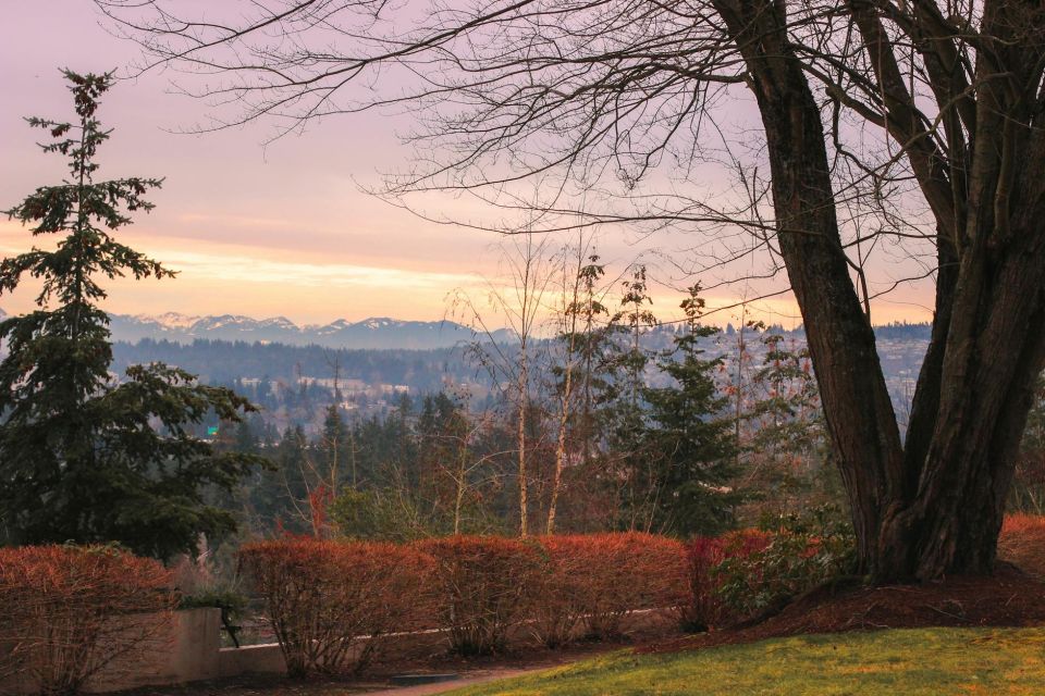Water Damage services in Mercer Island, WA